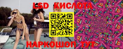Альфа ПВП Берёзовский