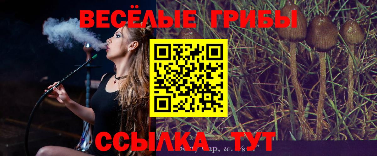 Галлюциногенные грибы GOLDEN TEACHER  Вход с VPN  Бузулук 