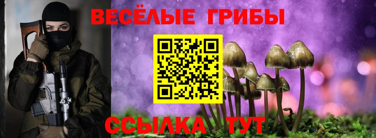 Псилоцибиновые грибы мухоморы Бузулук